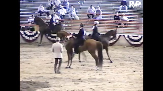 1997 Wisconsin Futurity - Three Gaite...