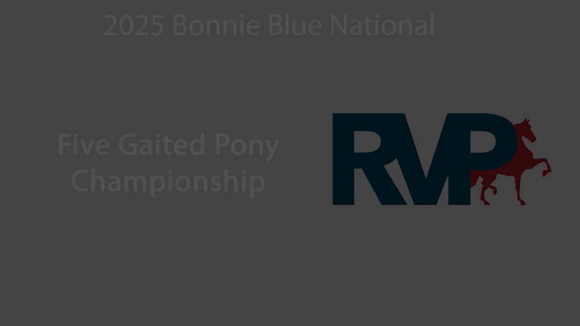BB25 - Class 127 - Five Gaited Pony Championship