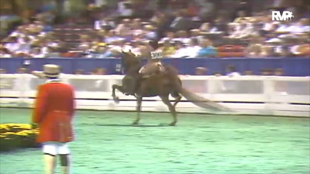 1992 WCHS Class 79 Junior Exhibitor T...