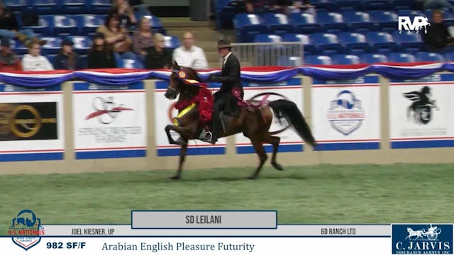 AN25 - Class 982 - SD Leilani and Joe...