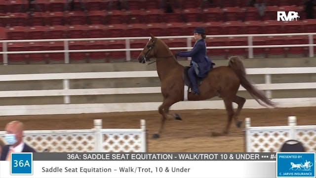 2020 ASF - Class 36A Saddle Seat Equi...