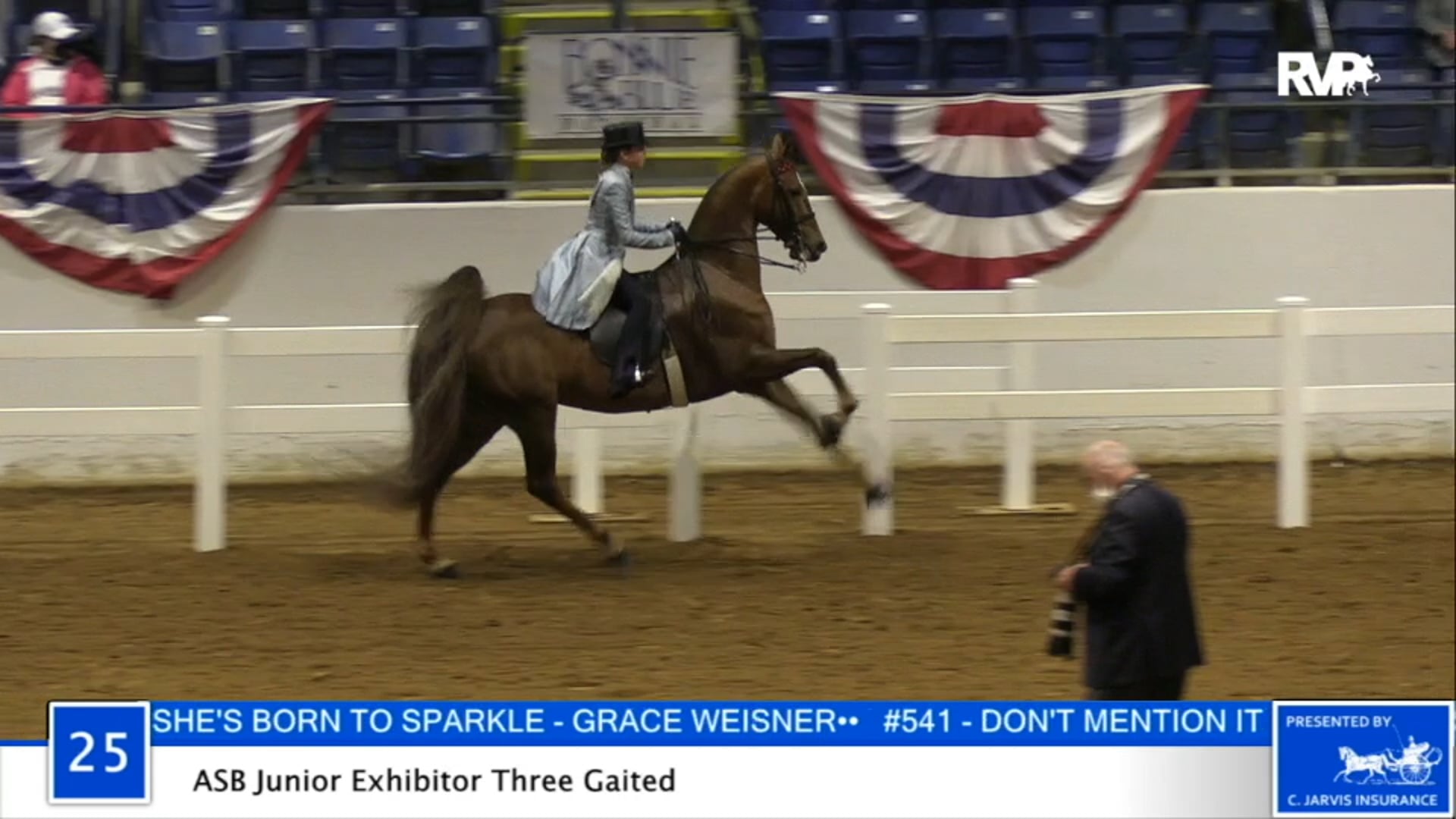 2020 BB - Class 25 ASB Junior Exhibitor Three Gaited