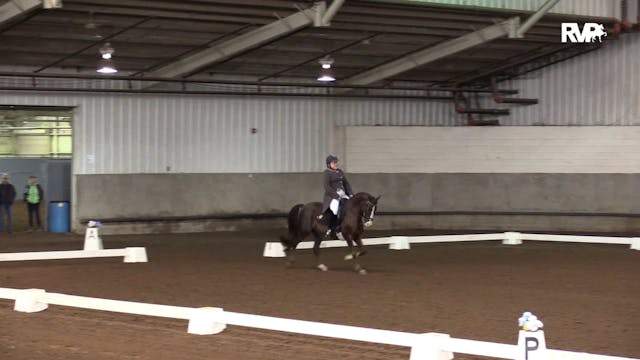 MGN19 - Class 524 - GN Dressage Inter...