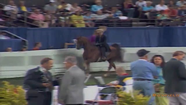 2002 WCHS Class 24 Five Gaited Ponies...
