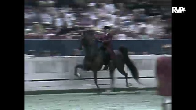 1997 WCHS - Class 8 Five Gaited Show ...