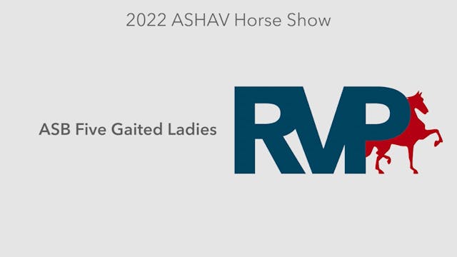 ASHAV22 - Class 15 - ASB Five Gaited ...