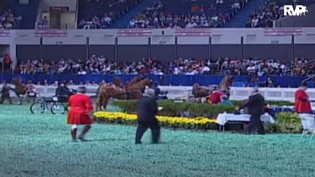 2009 World's Championship Horse Show ...