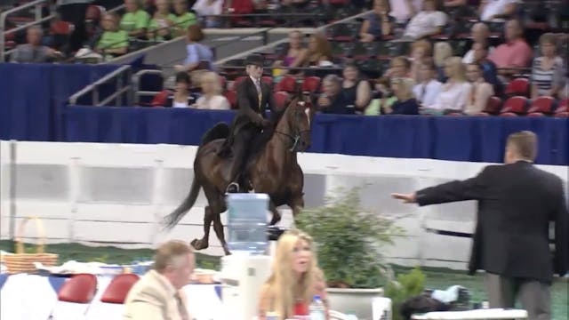 2012 World's Championship Horse Show ...