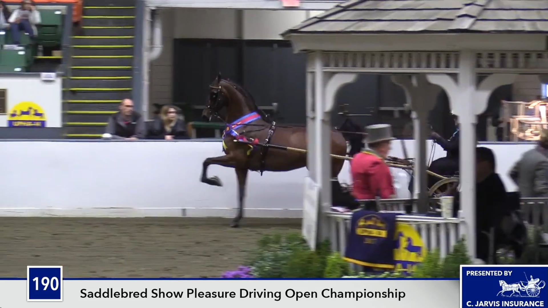 UPHACh14 17 - Jamalicious Phire - Championship