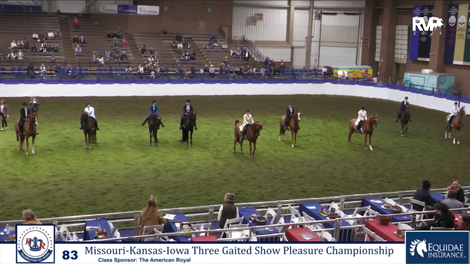 AR24 - Class 83 - Missouri-Kansas-Iowa Three Gaited Show Pleasure Championship