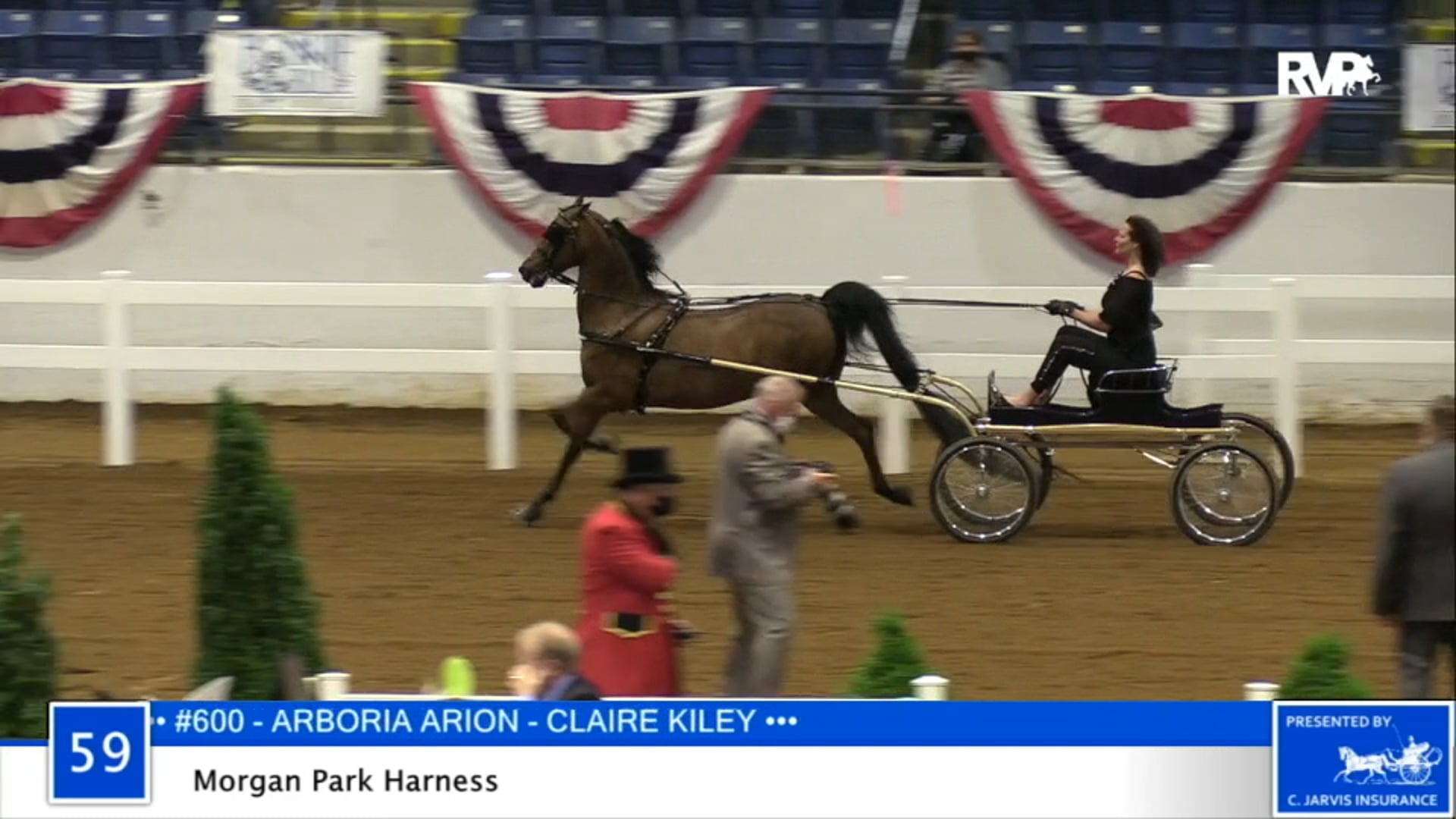 2020 BB - Class 59 Morgan Park Harness