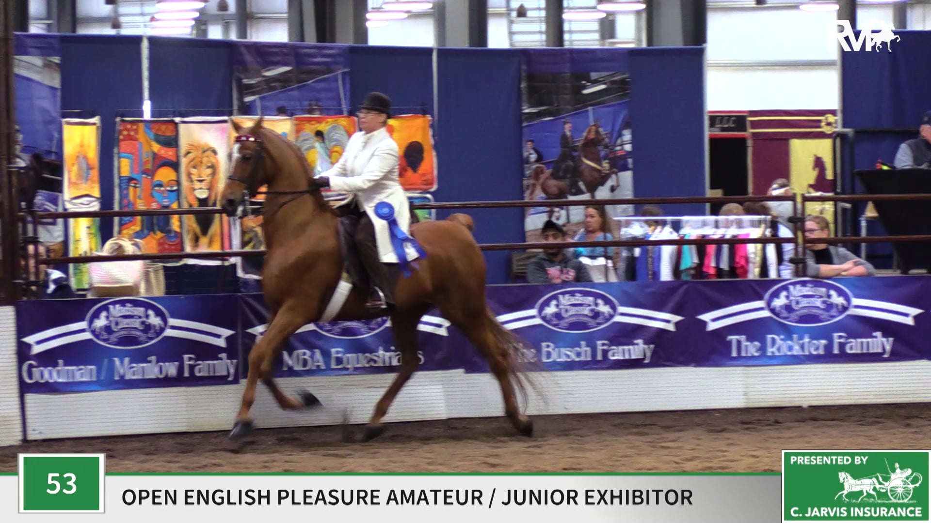 MC19 - Class 53 - Mystic Starlight