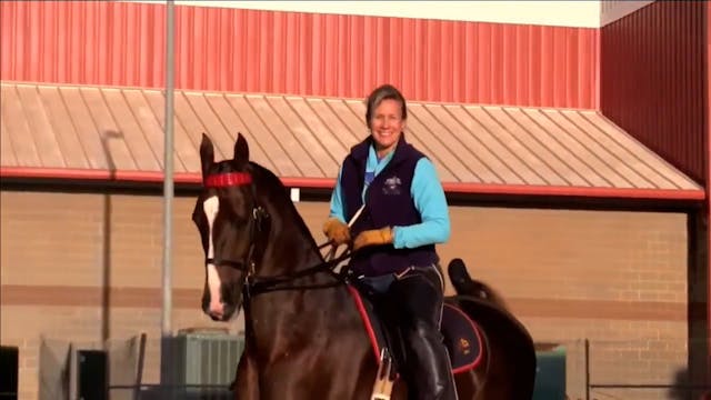 2017 UPHA Chapter 16 Spring Horse Sho...
