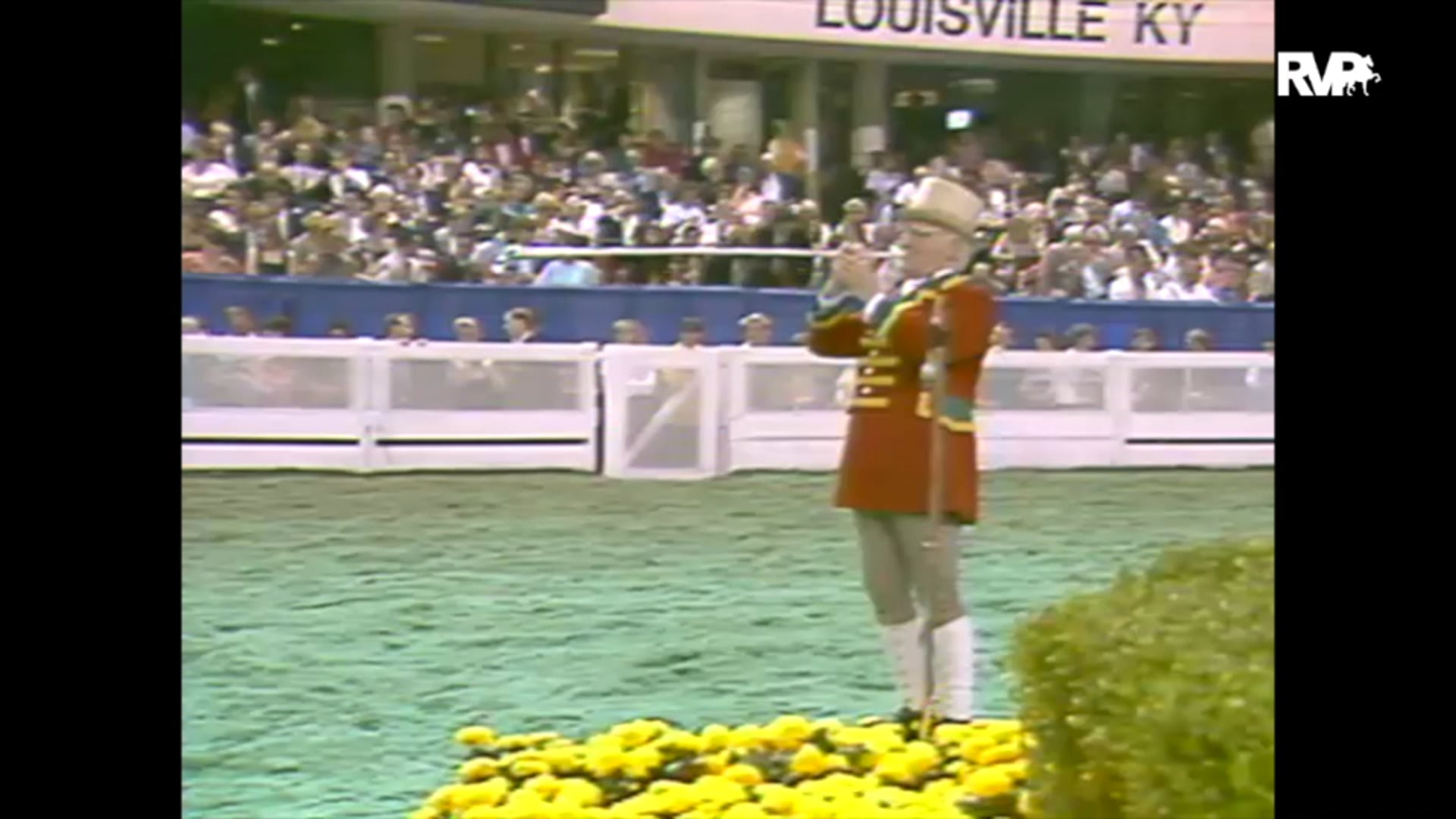 1993 WCHS Class 173 Harness Pony Championship