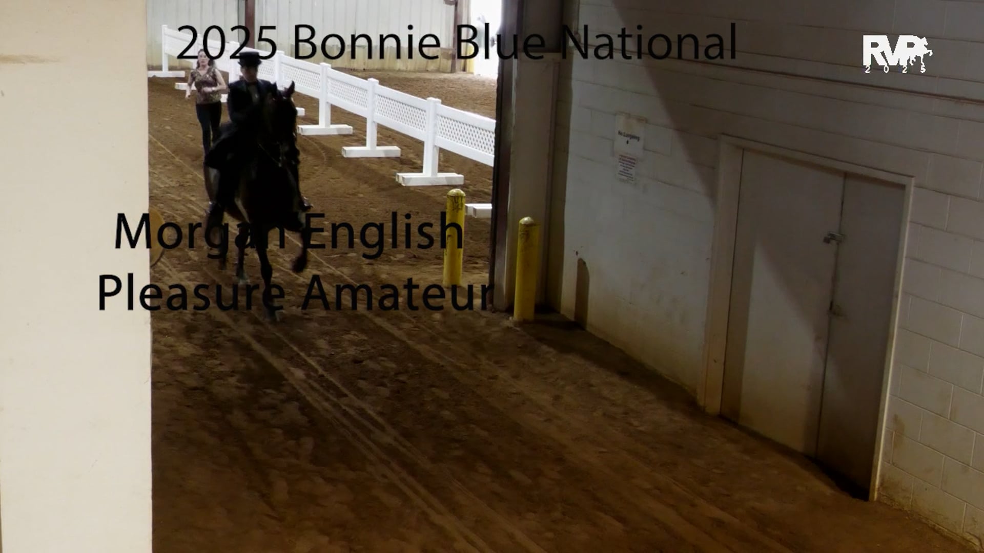 BB25 - Class 46 - Morgan English  Pleasure Amateur