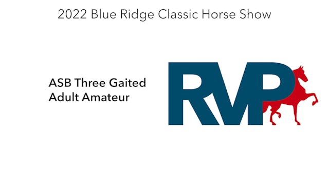 BR22 - Class 82 - ASB Three Gaited Ad...