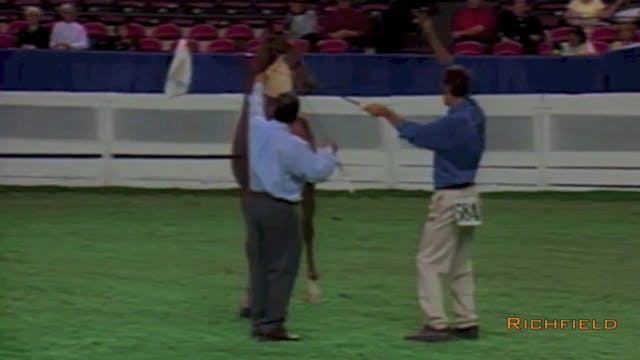 2001 WCHS - Class 47 - Futurity of Ke...