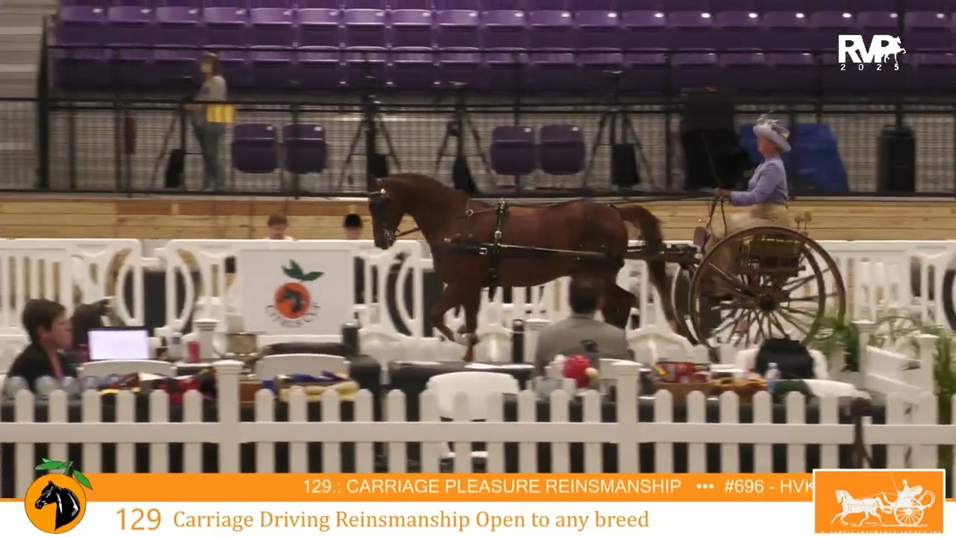 CC25 - Class 129 - Carriage Driving Reinsmanship Open to Any Breed