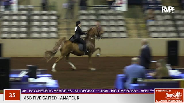 2020 SSFF - Class 35 ASB Five Gaited ...