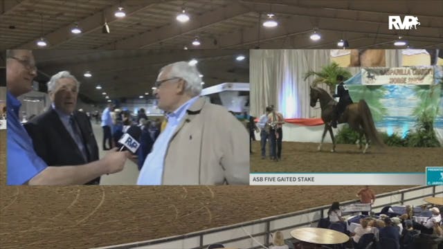 2020 Gasparilla Charity Horse Show - ...