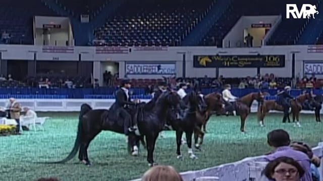 2009 World's Championship Horse Show ...