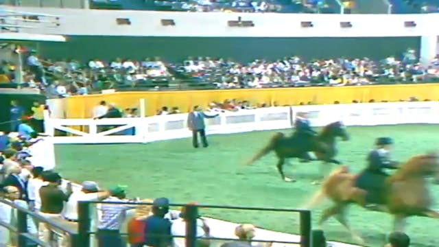 1987 WCHS Class 28 Amateur Five Gaite...