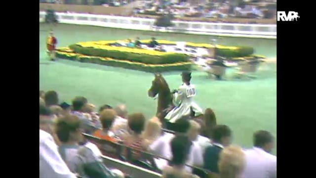 1988 WCHS Class 104 Three Gaited Over...