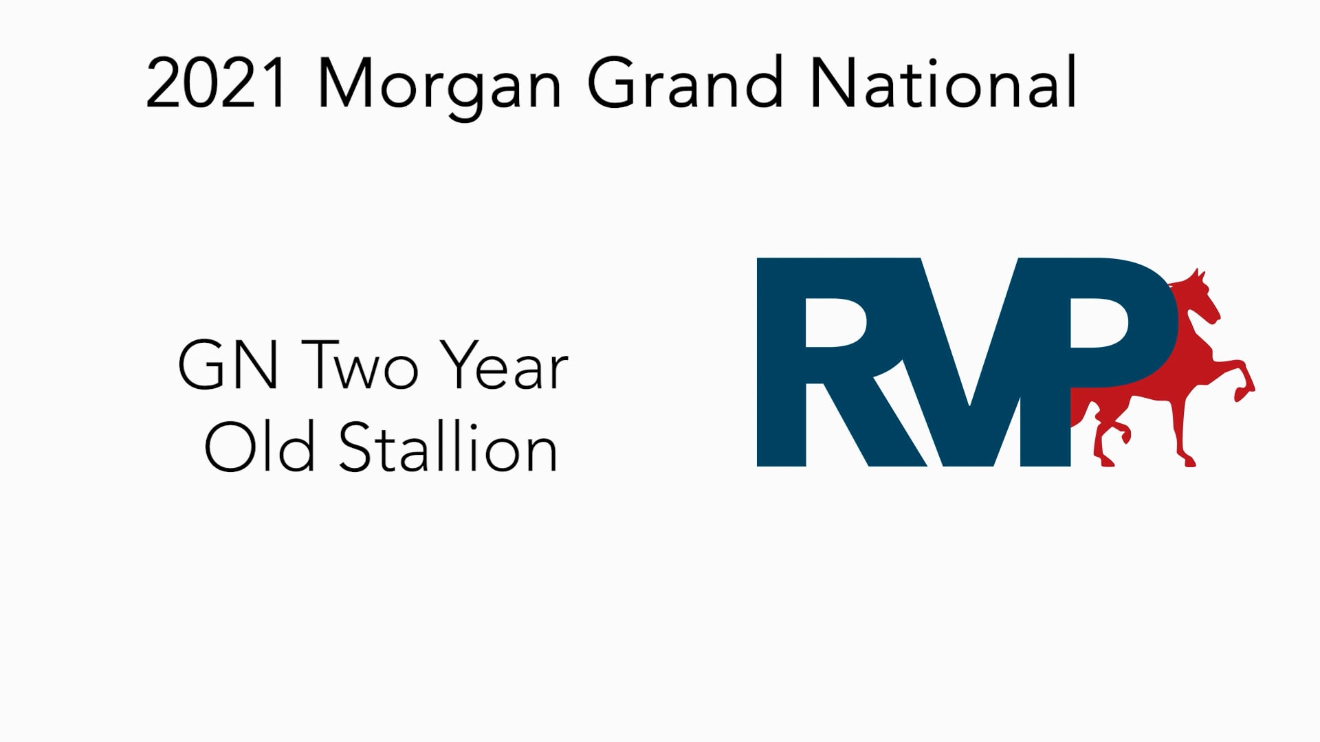 MGN21 - Class 29 - GN Two Year Old Stallion