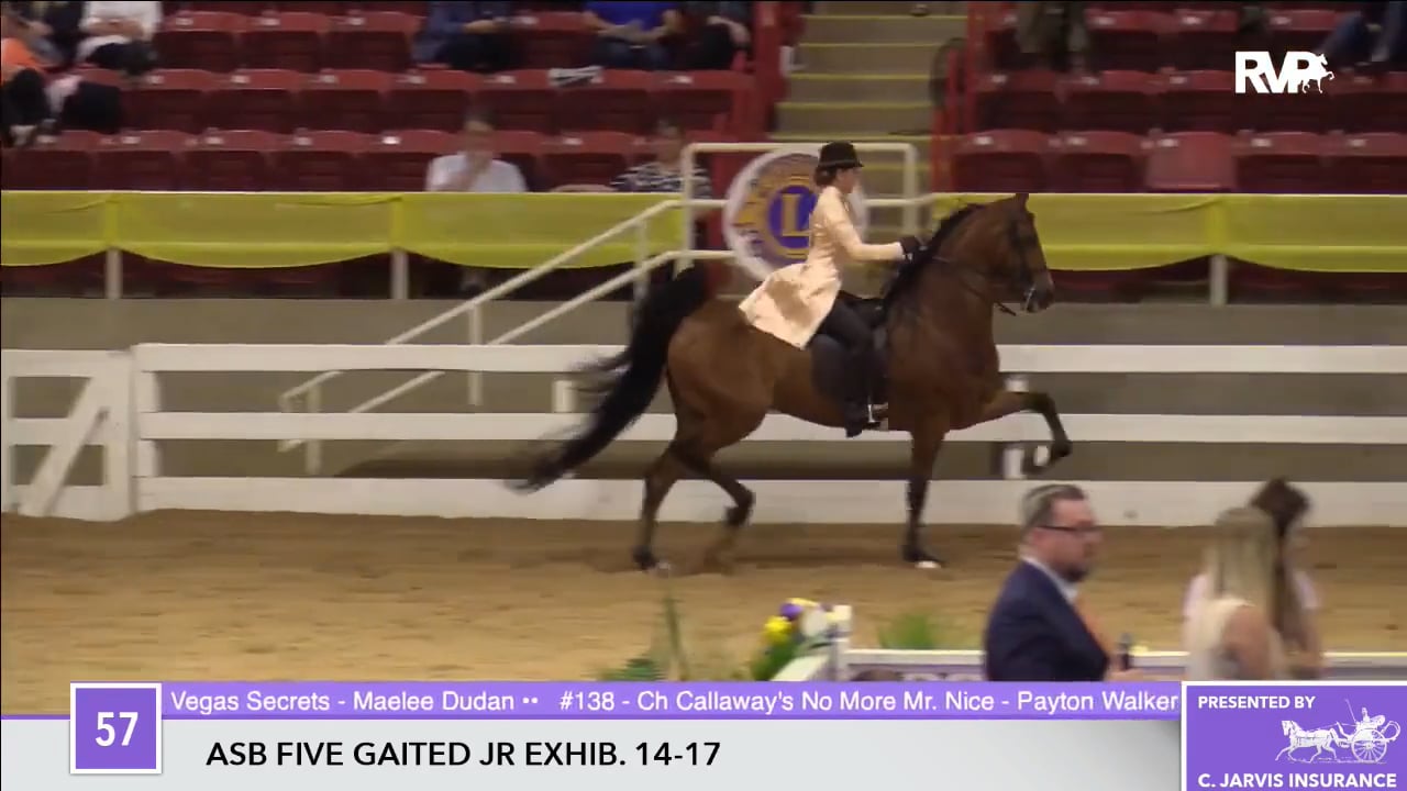 ALCB17 - Thursday Evening Part 2