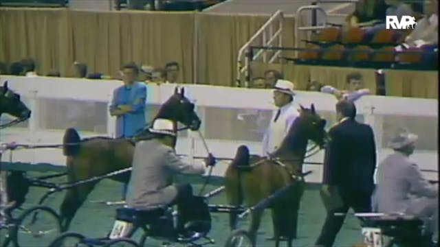 1988 WCHS Class 27 Amateur Hackney Pony