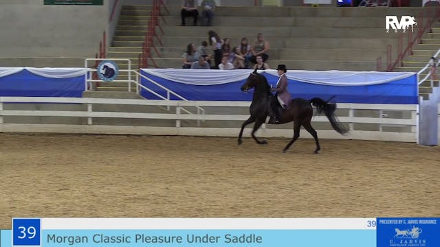 ASF21 - Class 39 - Morgan Classic  Pl...