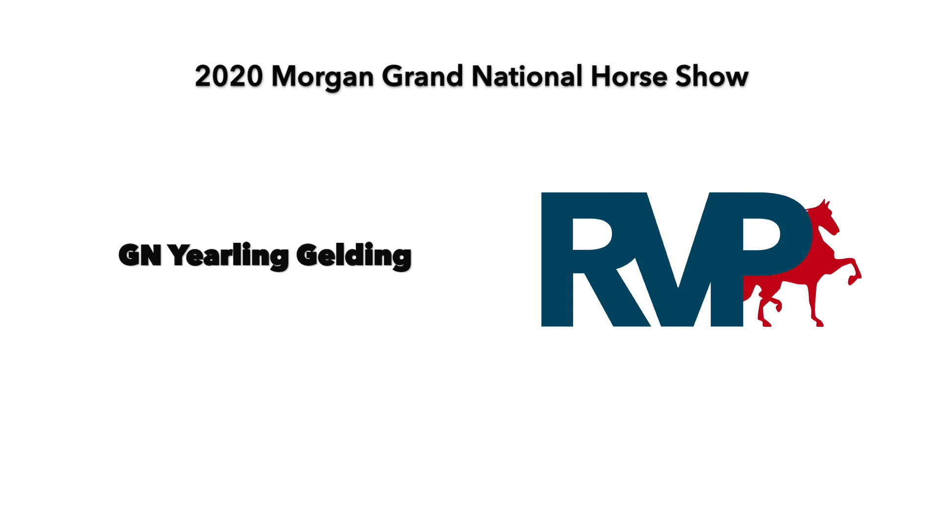 2020 MGN - Class 1 GN Yearling Gelding 