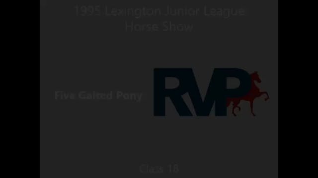 LJL 1995 - Class 18 - Five Gaited Pony