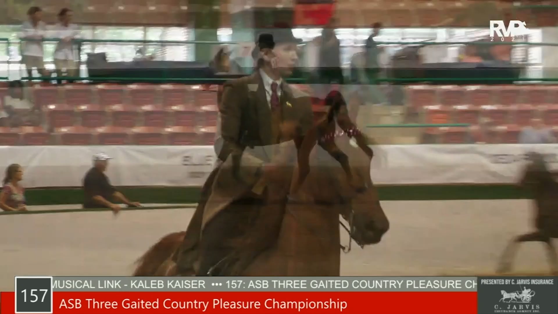 SS21 - Class 157 - ASB Three Gaited Country Pleasure Championship