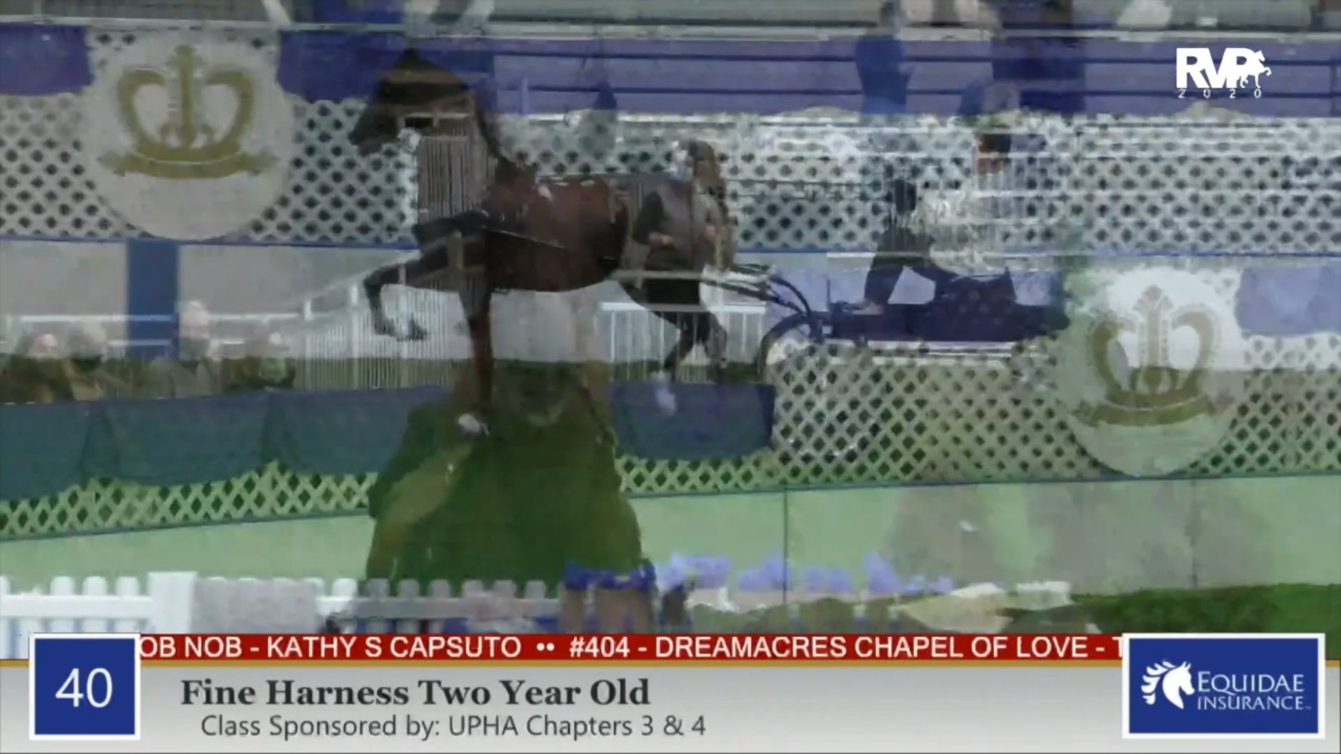 2020 AR - Class 40 Fine Harness Two Year Old