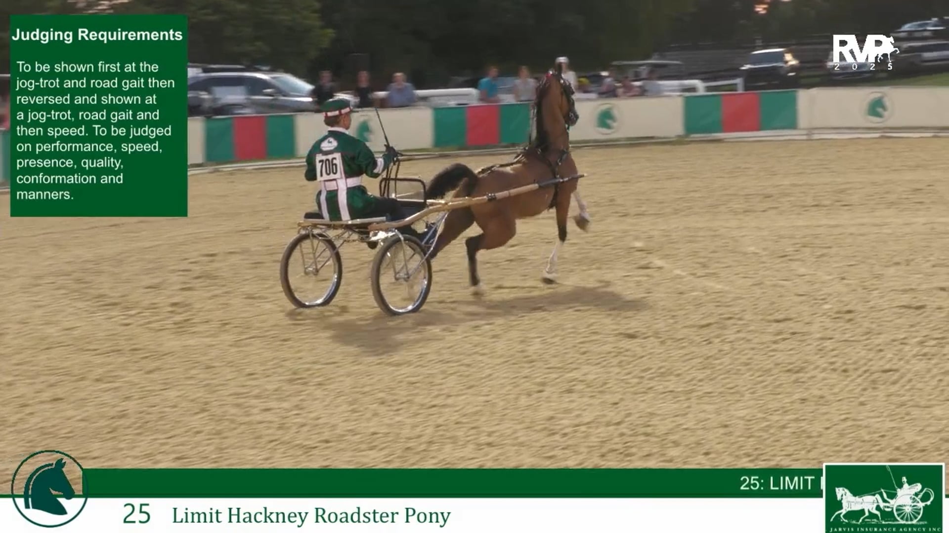 LJL25 - Class 25 - Limit Hackney Roadster Pony