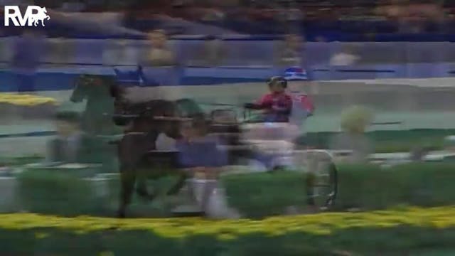 2004 World's Championship Horse Show ...