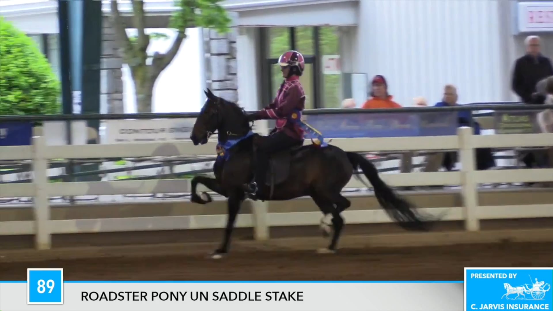 DC17 - Mr. Bubbly Bubbles - Championship