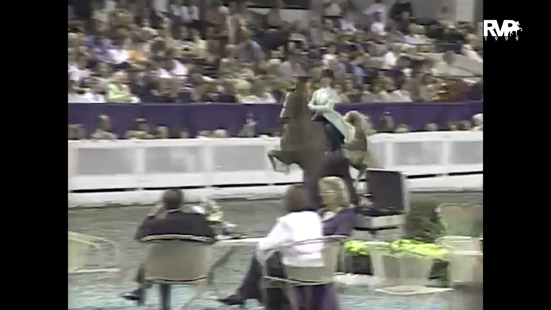 1999 WCHS - Class 198 Junior Exhibitor 13 & Under Three Gaited Championship
