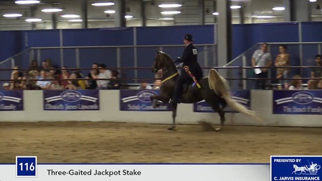 MC17 - Seven Oaks Heir Show 