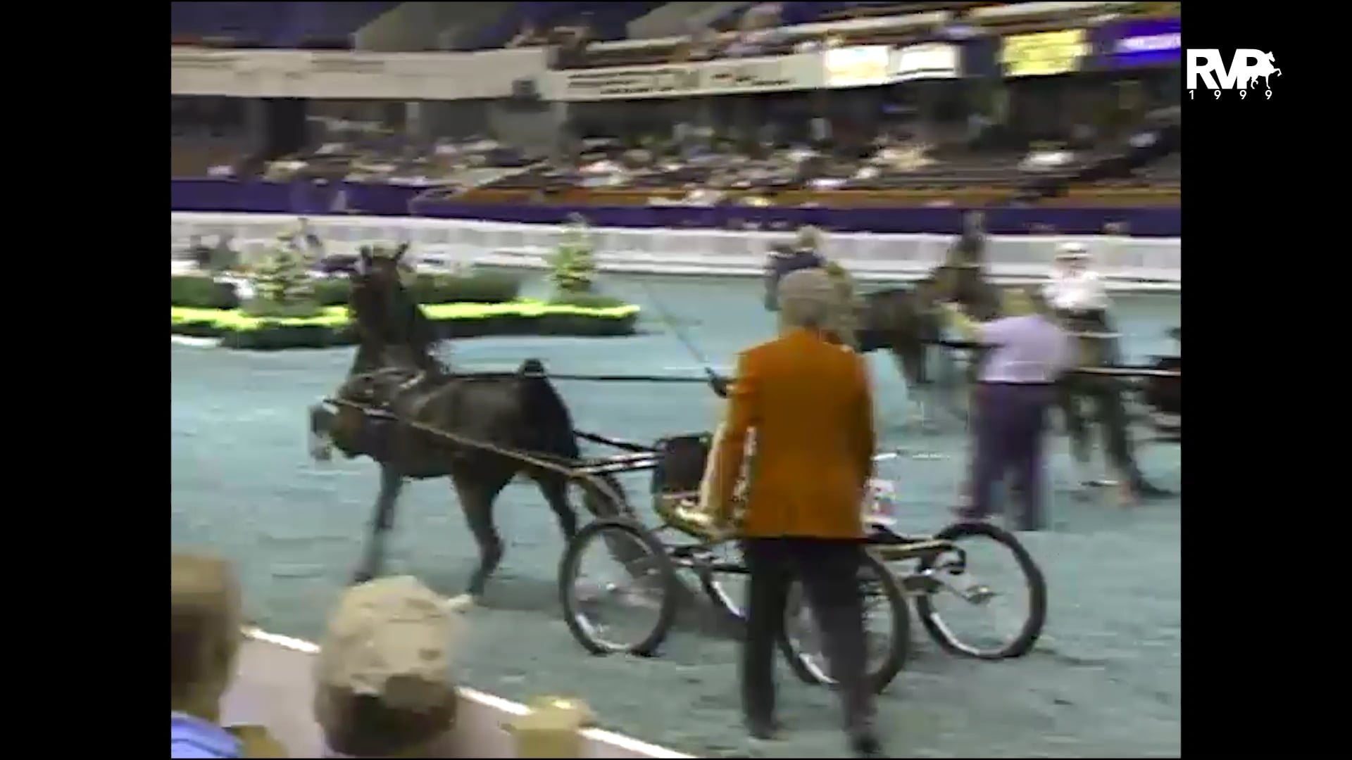 1999 WCHS - Class 27 Kentucky County Fair Harness Pony Championship