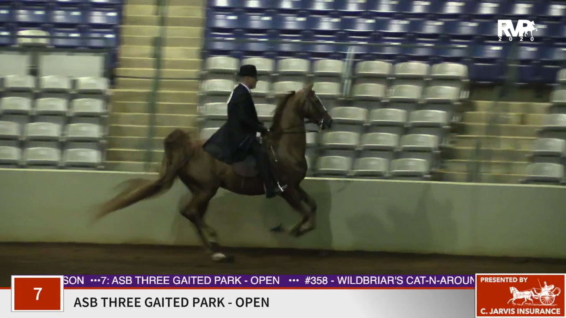 2020 SSFF - Class 7 ASB Three Gaited Park Open
