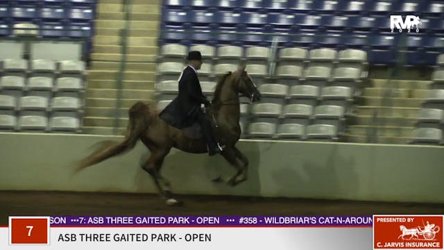 2020 SSFF - Class 7 ASB Three Gaited ...