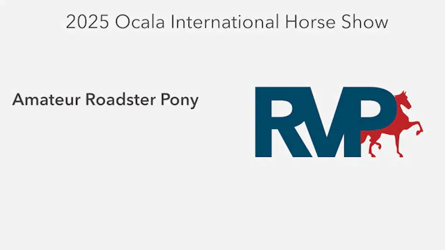 OI25 - Class 18 - Amateur Roadster Pony