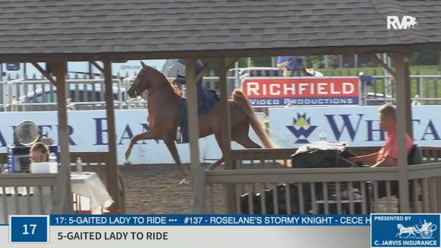 KYSP20 - Class 17 Five Gaited Lady to...