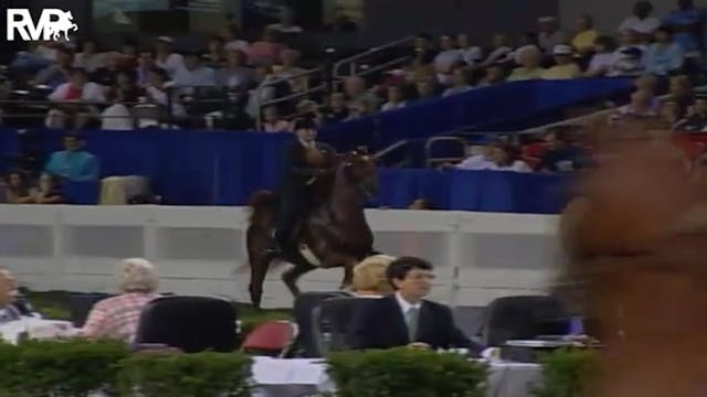 2004 World's Championship Horse Show ...