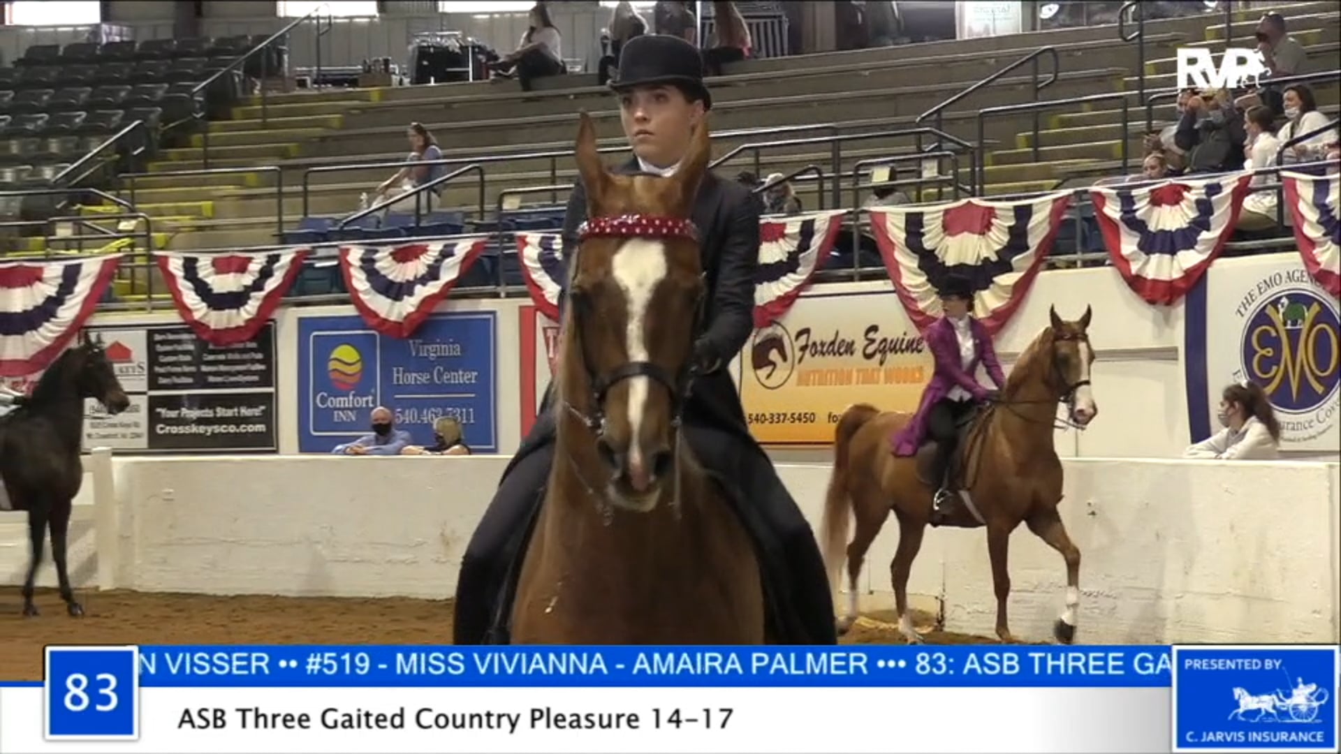 2020 BB - Class 83 ASB Three Gaited Country Pleasure 14-17