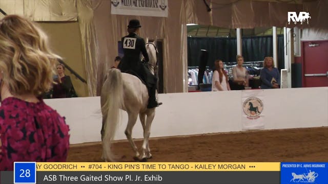 GASP21 - Class 28 - ASB Three Gaited ...