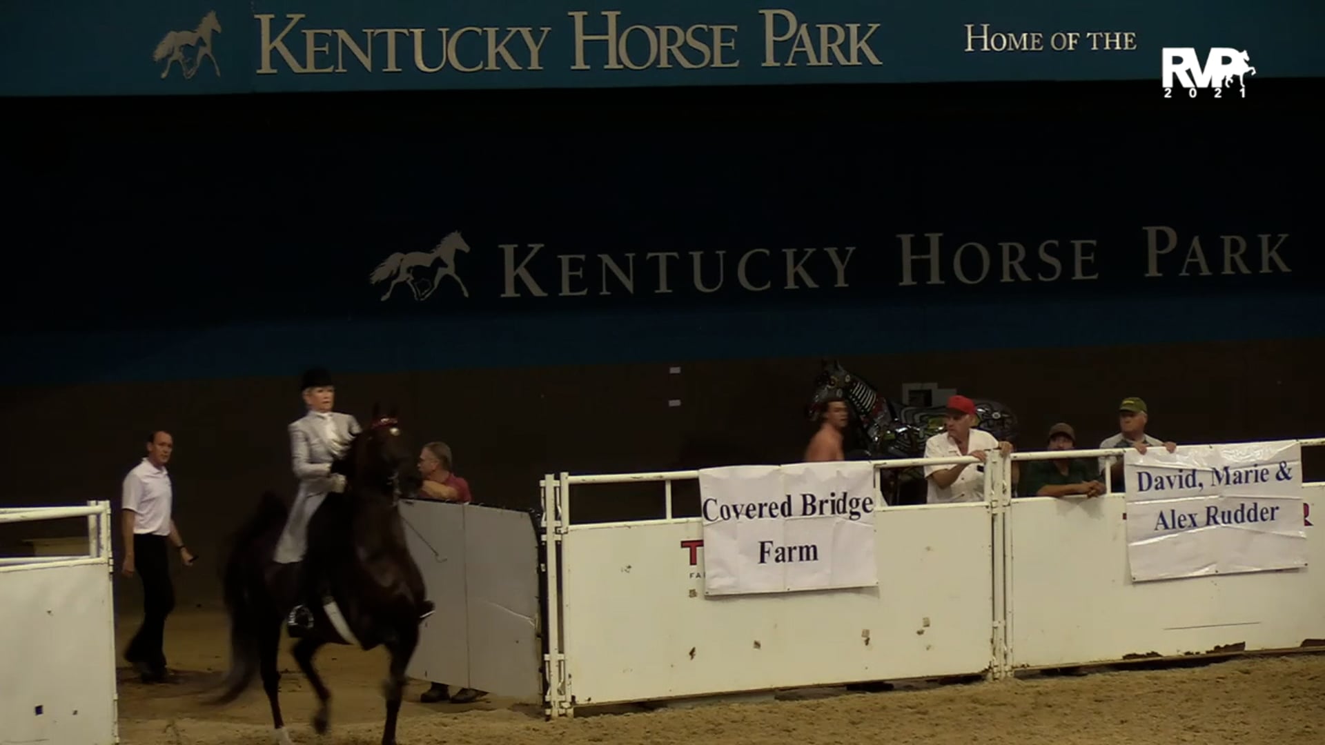 KFC21 - Class 16 - Adult Amateur Three Gaited Show Pleasure 