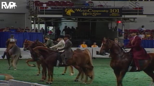 2004 World's Championship Horse Show ...